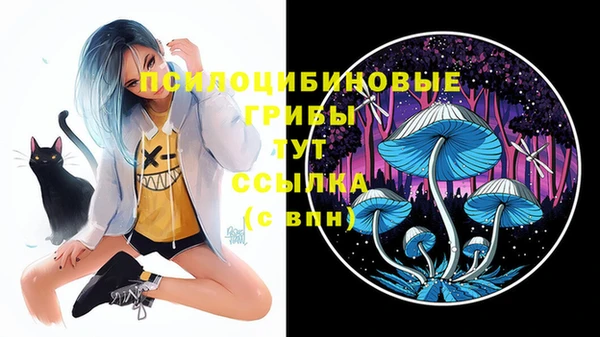 герыч Алзамай