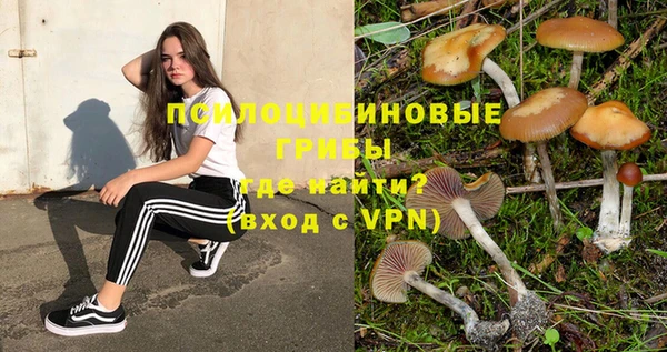 каннабис Алексеевка
