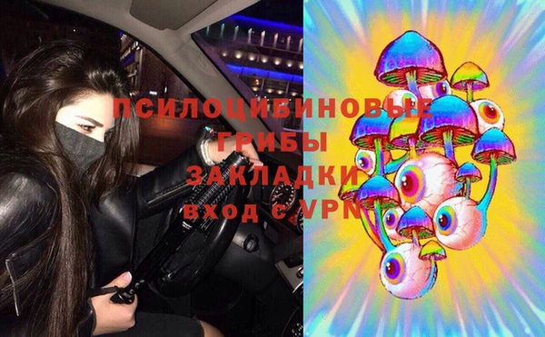 СК Алексин