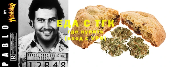 СК Алексин