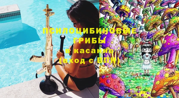 СК Алексин
