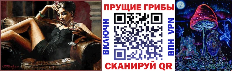 Галлюциногенные грибы MAGIC MUSHROOMS  цены наркотик  Тимашёвск 