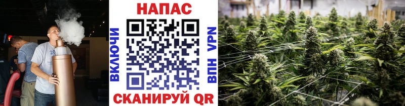 Бошки Шишки конопля  MEGA маркетплейс  Тимашёвск  купить  сайты 